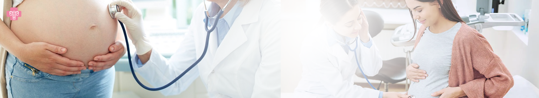 banner img
