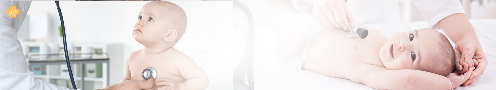 banner img