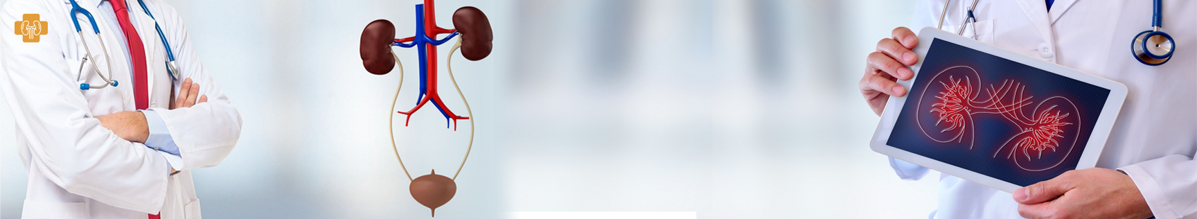 banner img